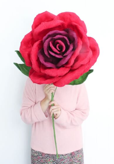 Giant Paper Roses & Rosé