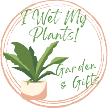 I Wet My Plants Garden & Gifts, kokedama, terrarium and textiles teacher